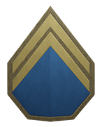 Senior Flight Officer